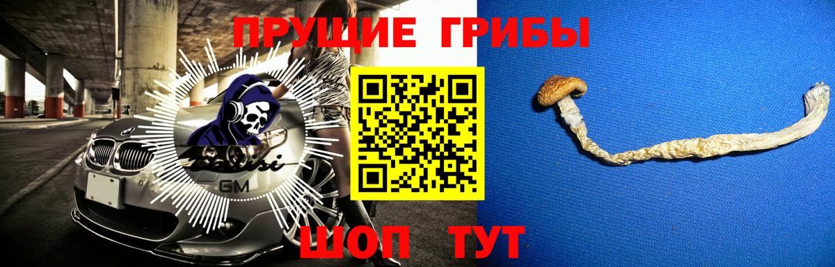 Псилоцибиновые грибы прущие грибы  Вход с VPN  Казань 